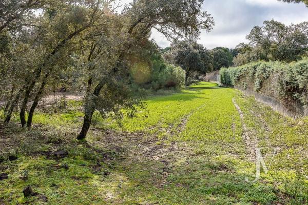Terreno en Lugar Urbanizacion las Encinas