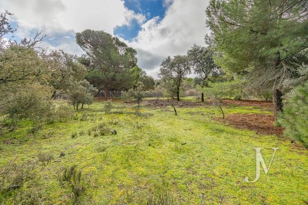 Terreno en Lugar Urbanizacion las Encinas