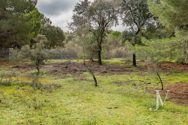 Terreno en Lugar Urbanizacion las Encinas