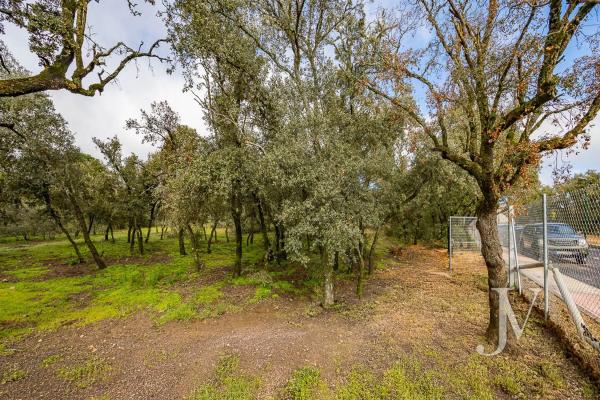 Terreno en Lugar Urbanizacion las Encinas