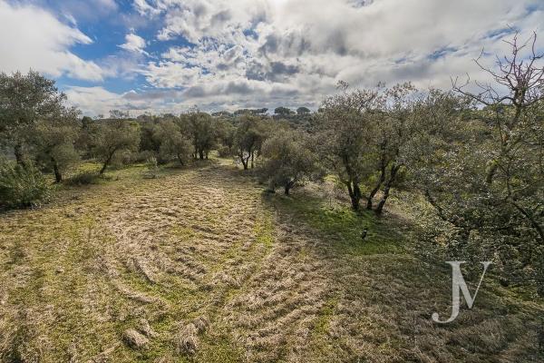 Terreno en Lugar Urbanizacion las Encinas