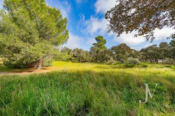 Terreno en Lugar Urbanizacion las Encinas
