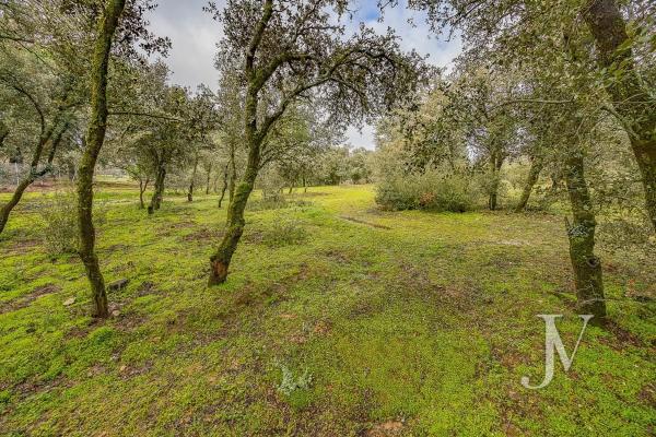 Terreno en Lugar Urbanizacion las Encinas