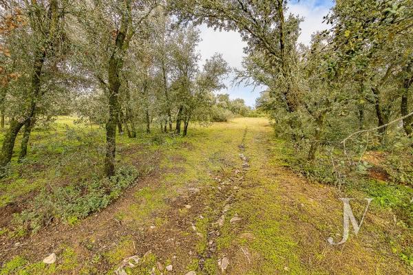 Terreno en Lugar Urbanizacion las Encinas