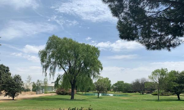 Terreno en paseo de los Lagos, 1