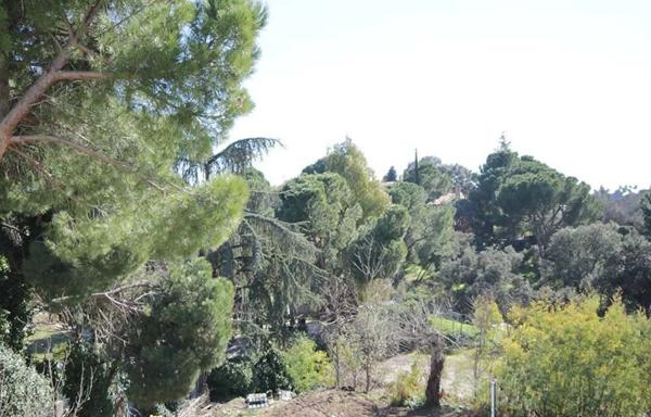 Terreno en Barrio Montealina