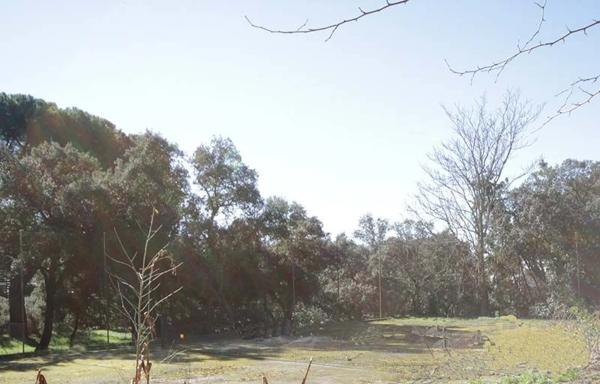 Terreno en Barrio Montealina