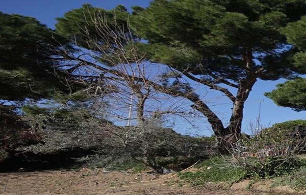 Terreno en Barrio Montealina