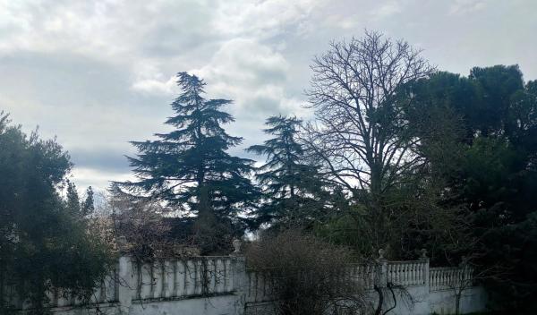 Terreno en calle Galeno