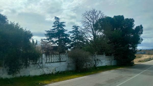 Terreno en calle Galeno