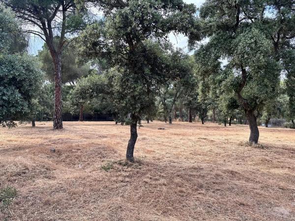 Terreno en Barrio Zona norte