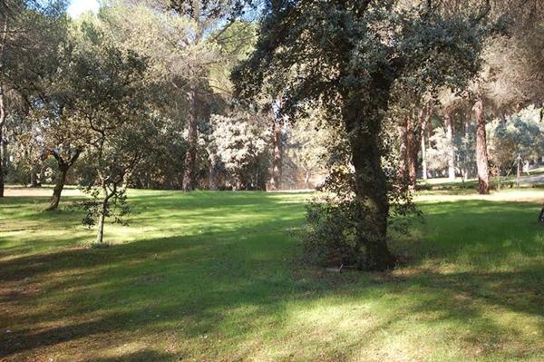 Terreno en Barrio Prado Largo