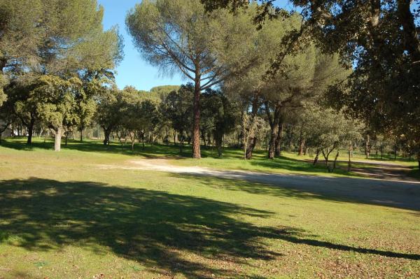 Terreno en Barrio Prado Largo