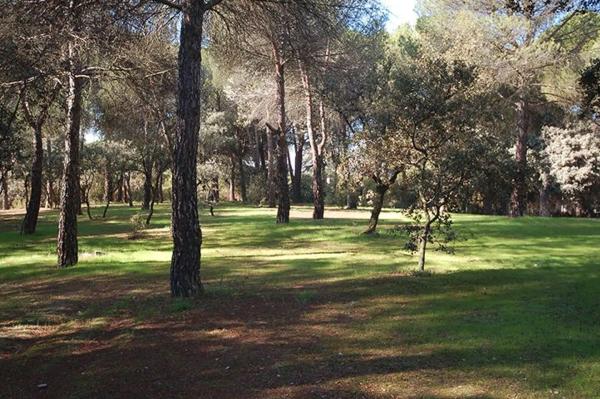 Terreno en Barrio Prado Largo
