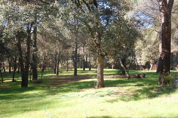 Terreno en Barrio Prado Largo