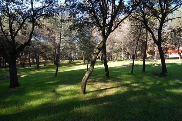 Terreno en Barrio Prado Largo