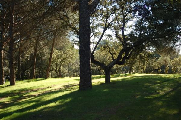 Terreno en Barrio Prado Largo