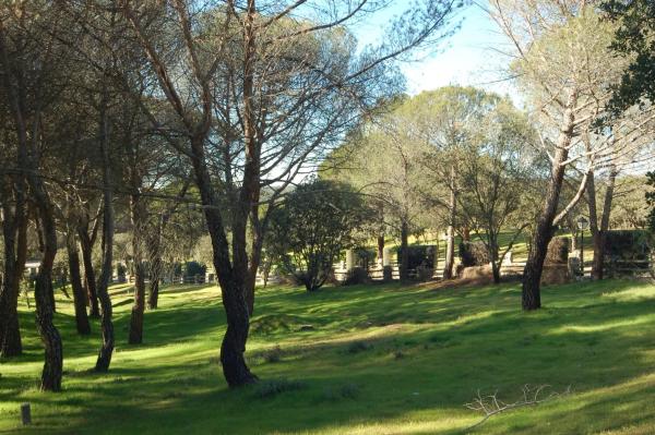 Terreno en Barrio Prado Largo