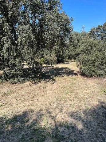 Terreno en plaza Urbanización Encinas Unifam