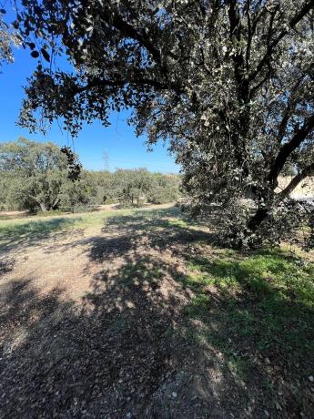 Terreno en plaza Urbanización Encinas Unifam
