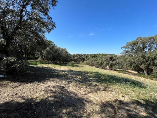 Terreno en plaza Urbanización Encinas Unifam