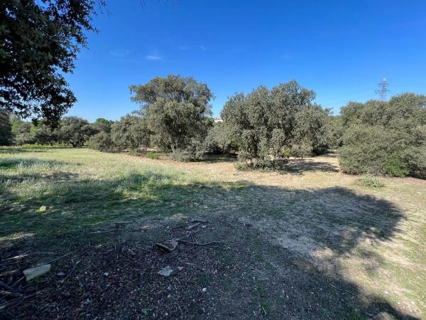 Terreno en plaza Urbanización Encinas Unifam