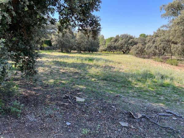 Terreno en plaza Urbanización Encinas Unifam