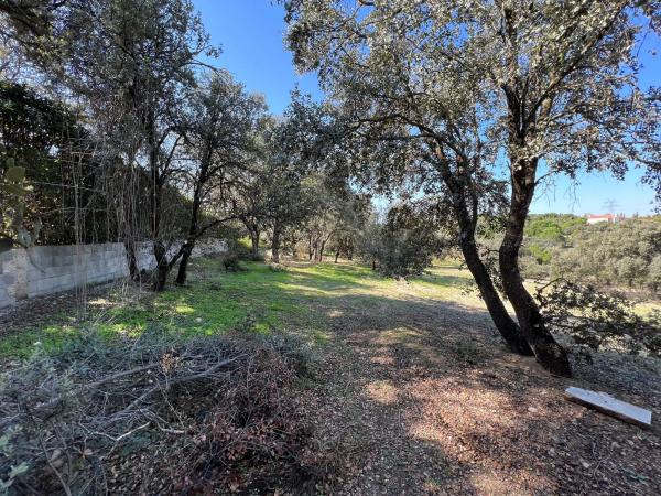 Terreno en plaza Urbanización Encinas Unifam