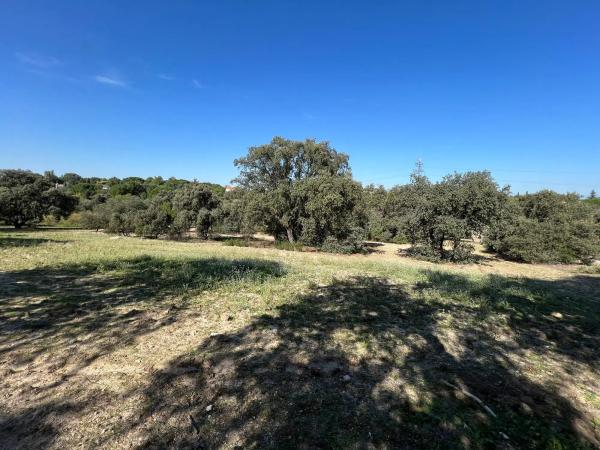 Terreno en plaza Urbanización Encinas Unifam