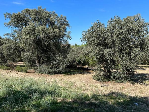 Terreno en plaza Urbanización Encinas Unifam