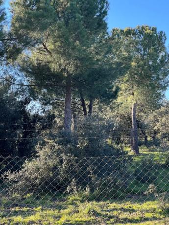 Terreno en plaza Urbanización Encinas Unifam