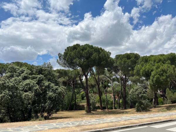Terreno en avenida Prado Largo