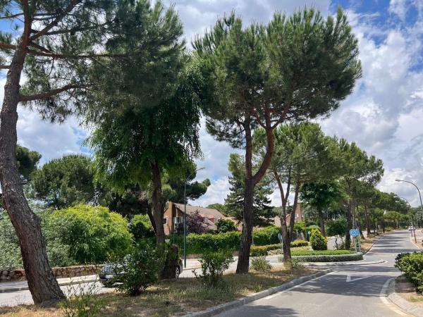 Terreno en avenida Prado Largo