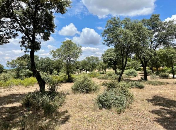 Terreno en avenida Prado Largo