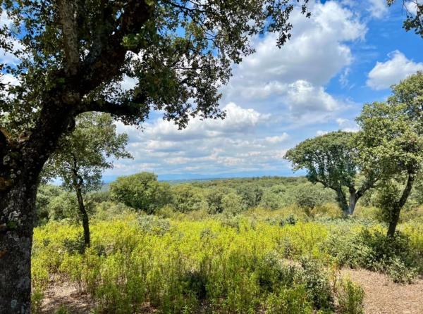 Terreno en avenida Prado Largo