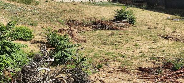 Terreno en Abantos - Carmelitas