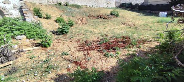 Terreno en Abantos - Carmelitas