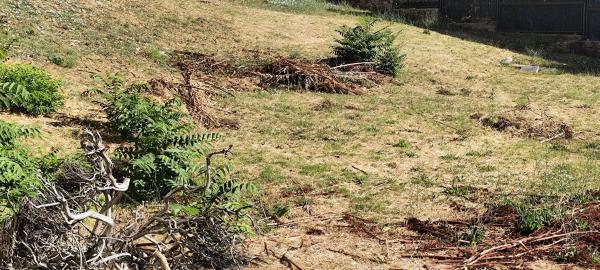 Terreno en Abantos - Carmelitas
