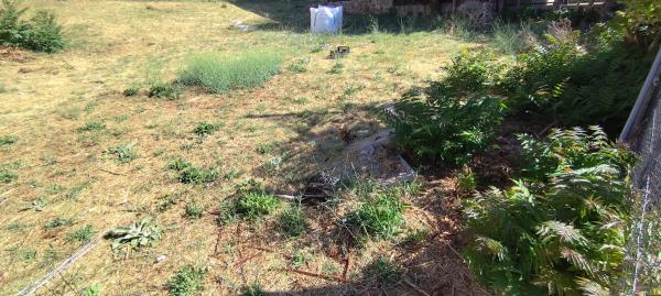 Terreno en Abantos - Carmelitas