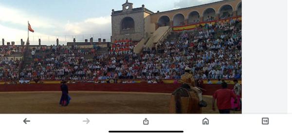 Terreno en calle Pozas, 123