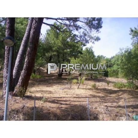 Terreno en Abantos - Carmelitas