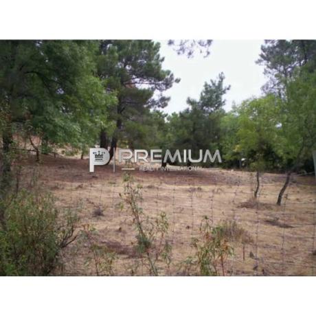 Terreno en Abantos - Carmelitas