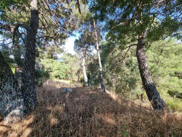 Terreno en Los Nogales, 4