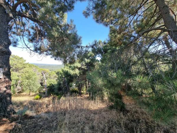 Terreno en Los Nogales, 4