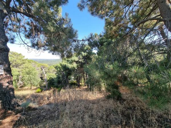 Terreno en Los Nogales, 4