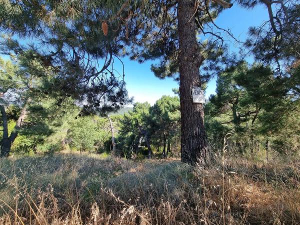 Terreno en Los Nogales, 4