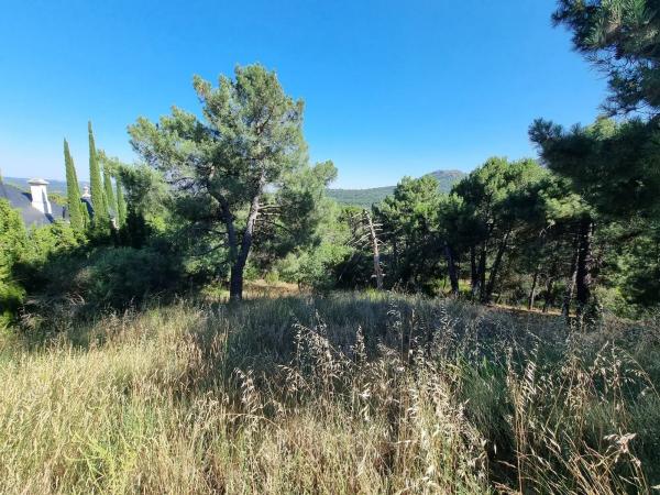 Terreno en Los Nogales, 4