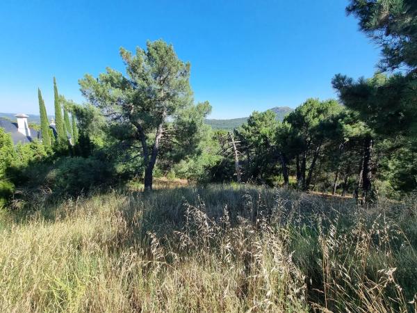 Terreno en Los Nogales, 4