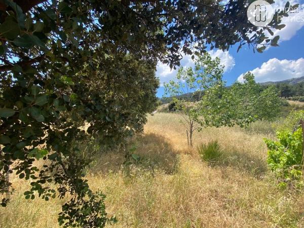 Terreno en calle de la Residencia