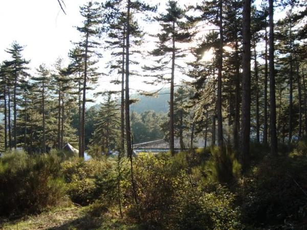 Terreno en calle Cerro Abantos, 5